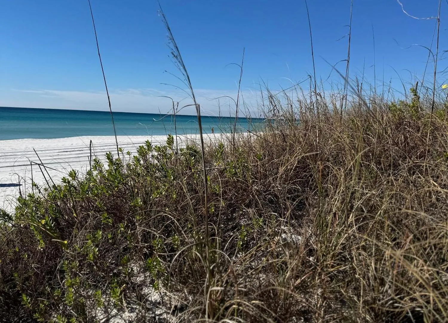 Pier Paradise At Calypso Resort Tower 3 #809 By Nautical Properties Panama City Beach Apartment